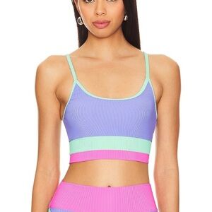 New! Beach Riot Eva high tide colorblock Purple Pink Bikini Top 3953